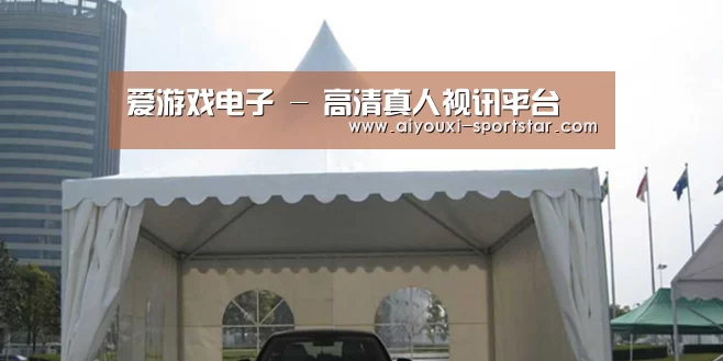 案例标题八(图1)