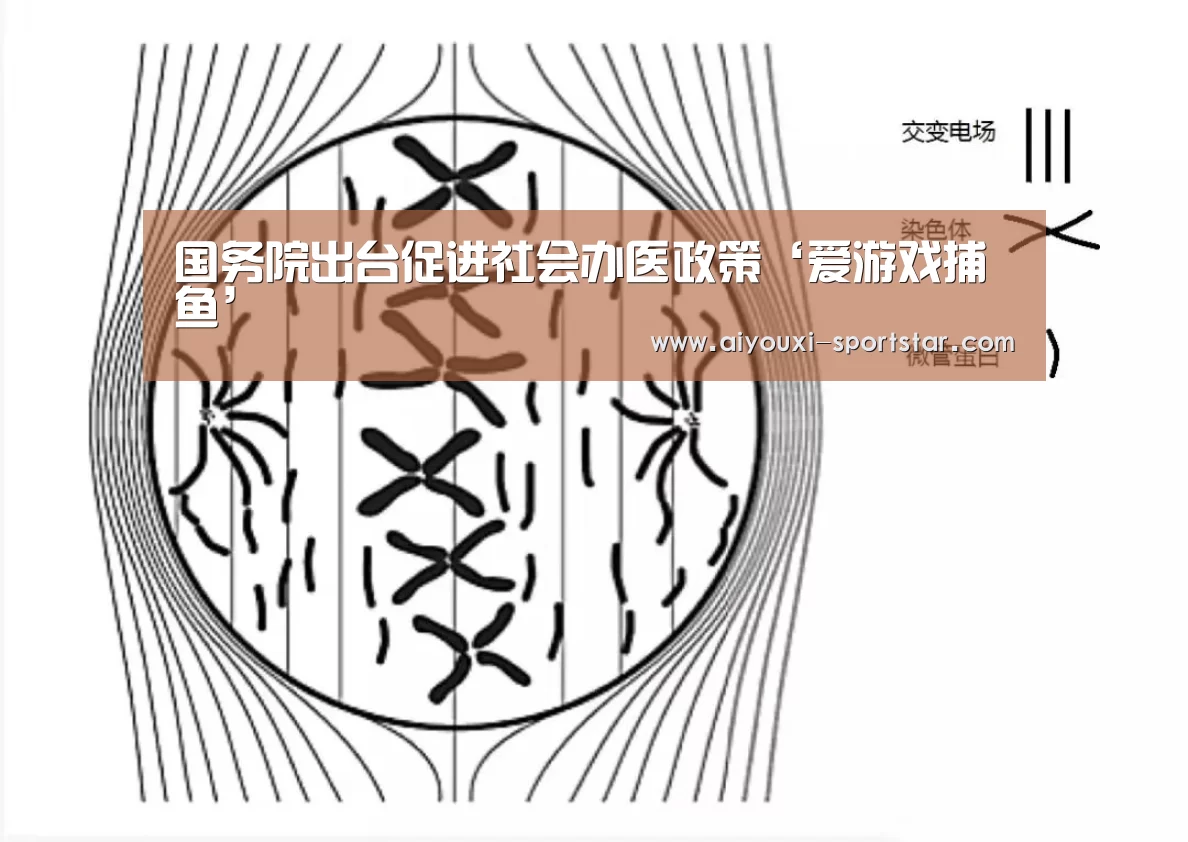 国务院出台促进社会办医政策‘爱游戏捕鱼’(图1) 爱游戏电子
