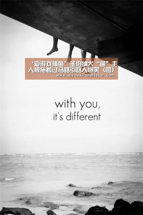 ‘爱游戏捕鱼’圣伯纳犬“遛”主人被拖着过马路引路人爆笑（图）